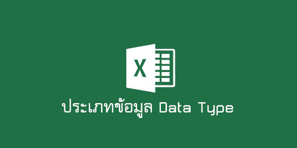 เทคนิคง่ายๆ-กับการใช้-Excel---ประเภทข้อมูล-Data-type