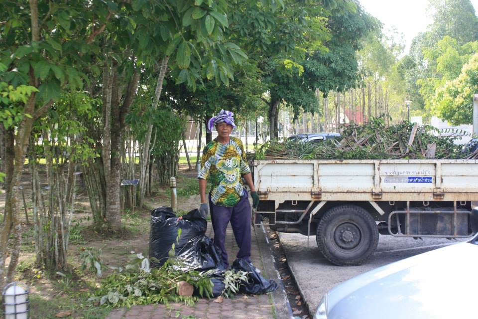 อาคารสถานที่และภูมิทัศน์ ประจำวันที่ 4 กันยายน  2556